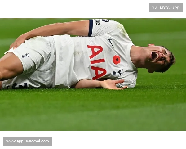 范德文帕利尼亚提升热刺防守，奥多波特波罗边路表现亮眼